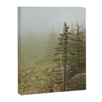 Maine Coast Landscape - Travel photography nature landscape moody decor Canvas Print Gallery Image 6