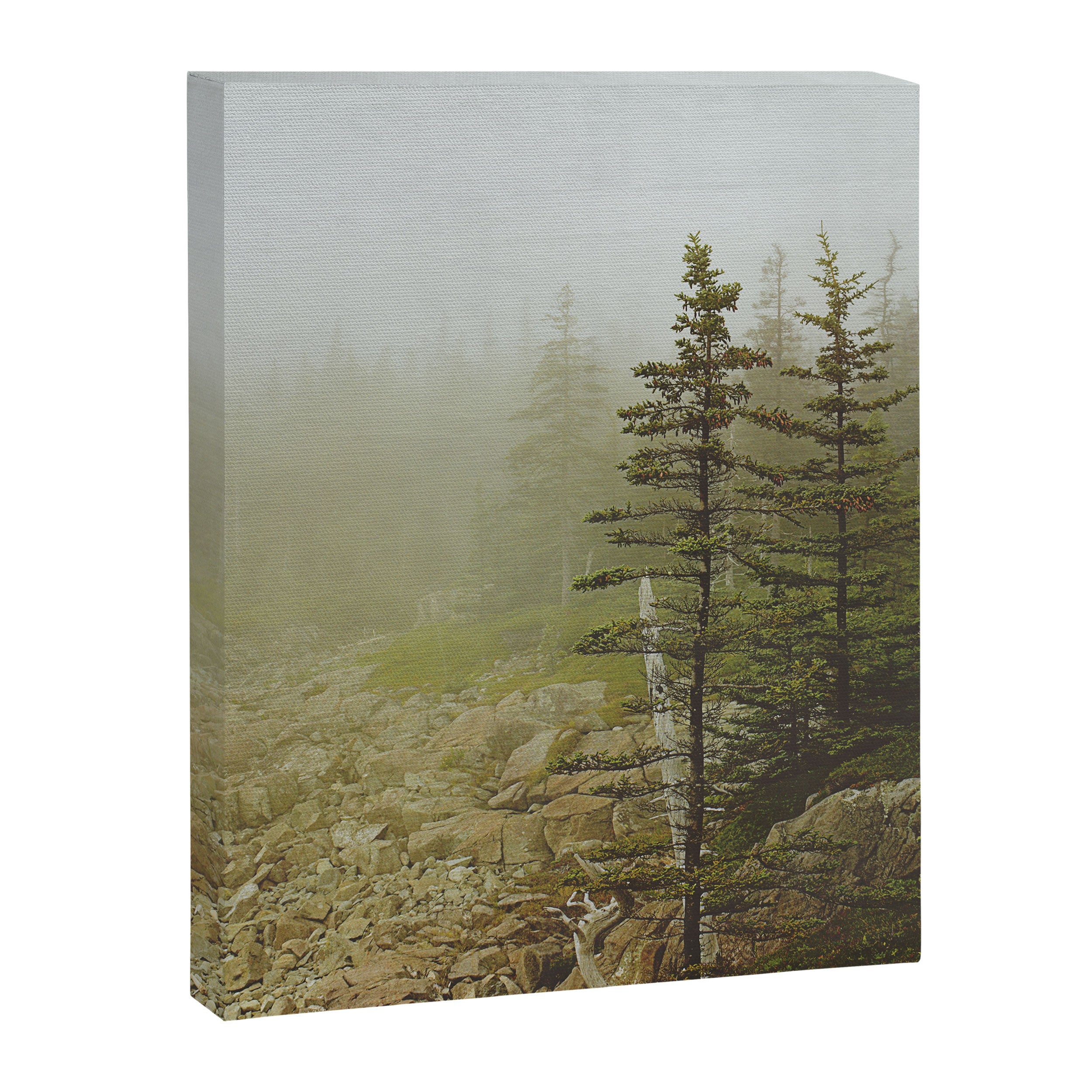 Maine Coast Landscape - Travel photography nature landscape moody decor Canvas Print Gallery Image 6
