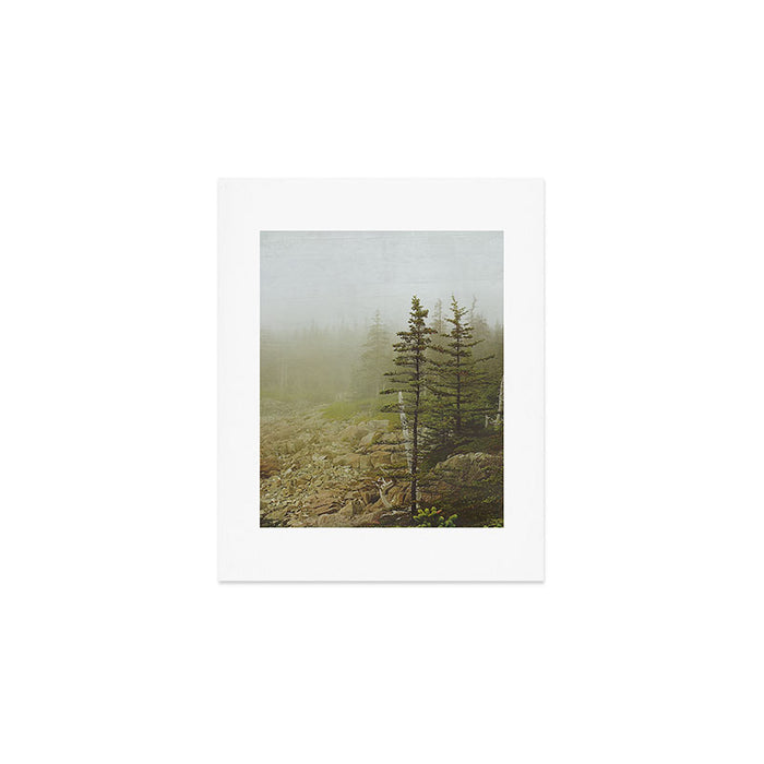 Maine Coast Landscape - Travel photography nature landscape moody decor Art Print Gallery Image 1