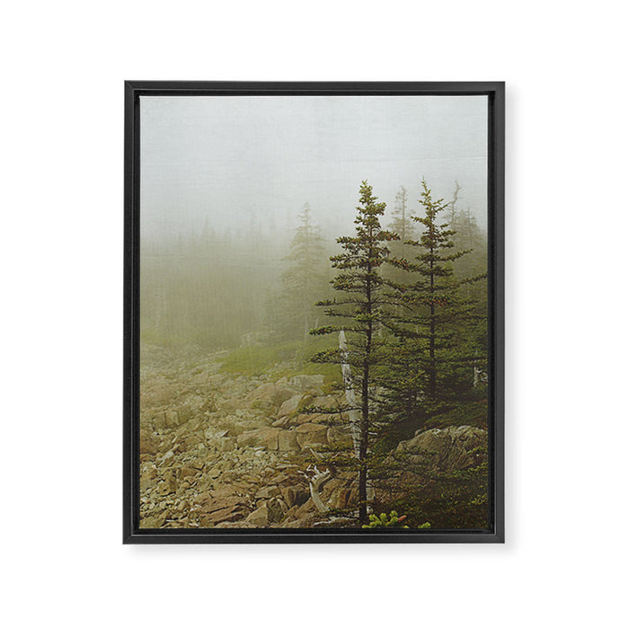 Maine Coast Landscape - Travel photography nature landscape moody decor Framed Canvas Print Gallery Image 1