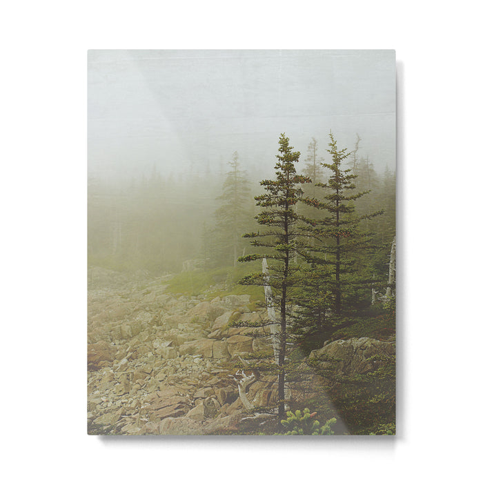 Maine Coast Landscape - Travel photography nature landscape moody decor Metal Print Gallery Image 1