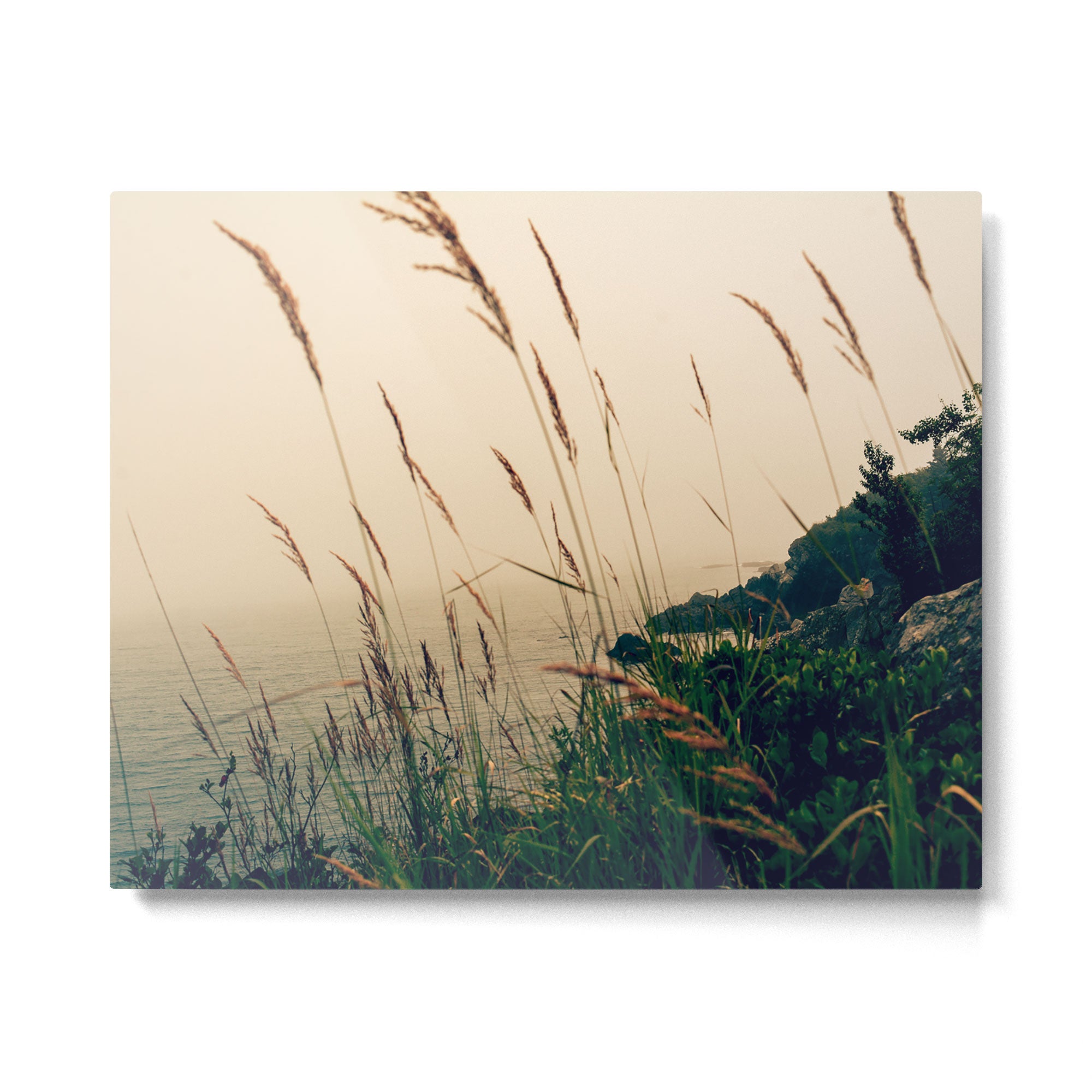 Maine Morning Metal Print Gallery Image 4