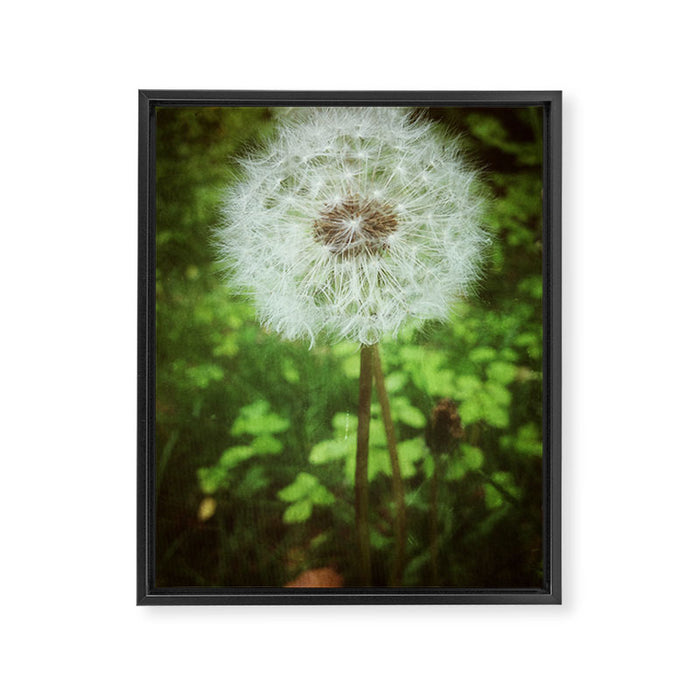 Make a Wish Framed Canvas Print Gallery Image 1