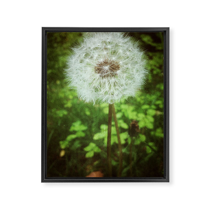 Make a Wish Framed Canvas Print Gallery Image 6