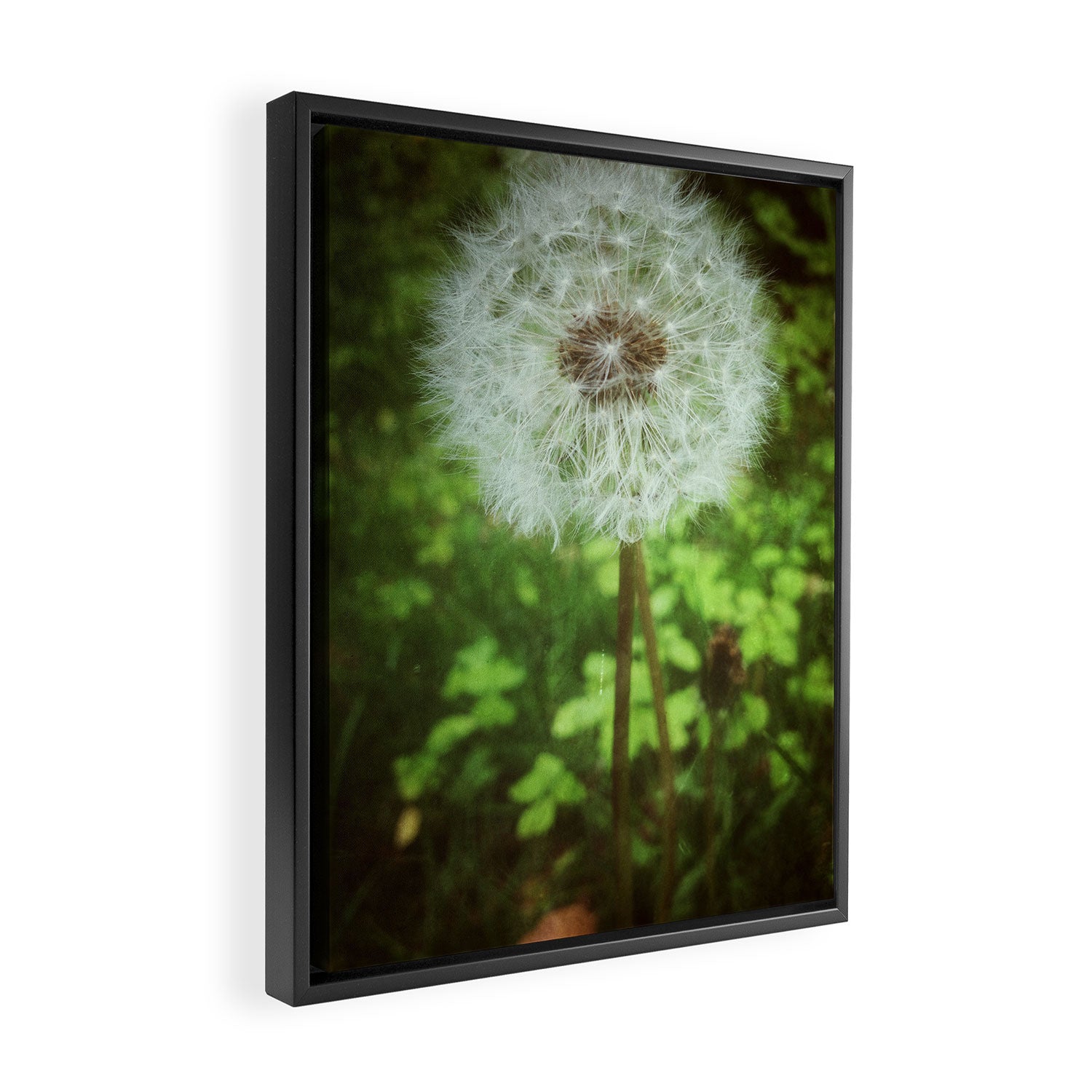 Make a Wish Framed Canvas Print Gallery Image 2