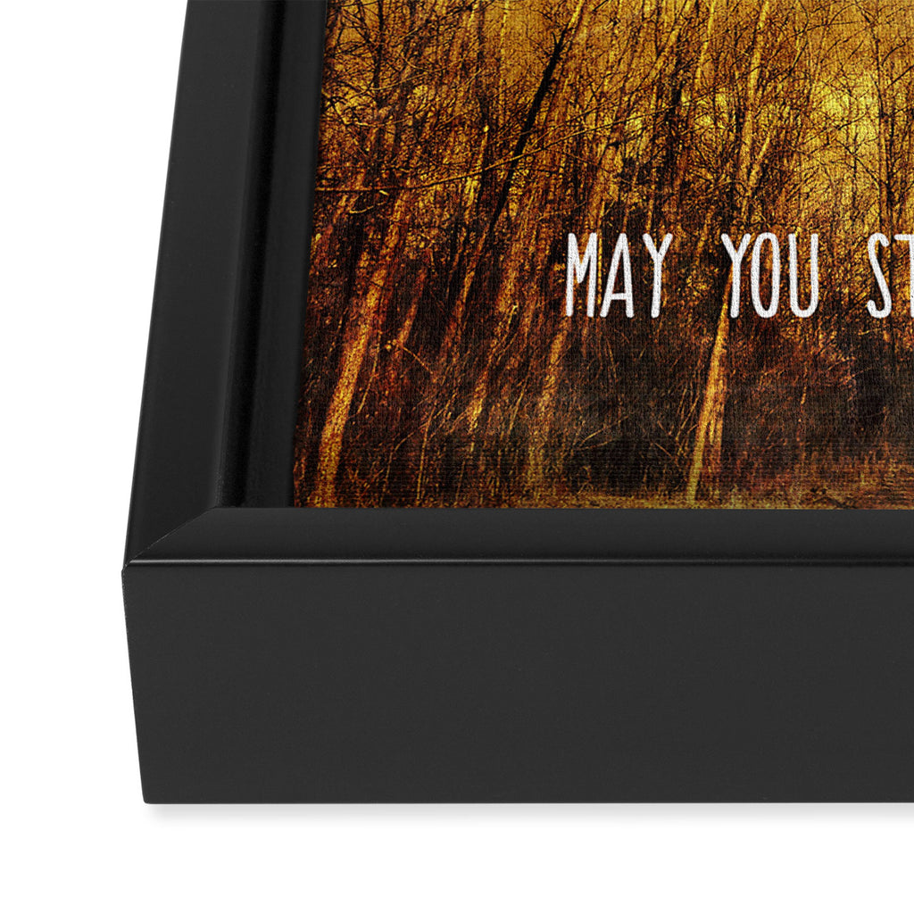May You Stay Forever Young Framed Canvas Print Gallery Image 3