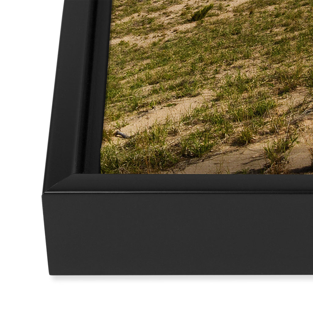 Michigan Dunes 1 - sand dune nature landscape photograph Framed Canvas Print Gallery Image 3