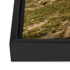 Michigan Dunes 1 - sand dune nature landscape photograph Framed Canvas Print Gallery Image 3