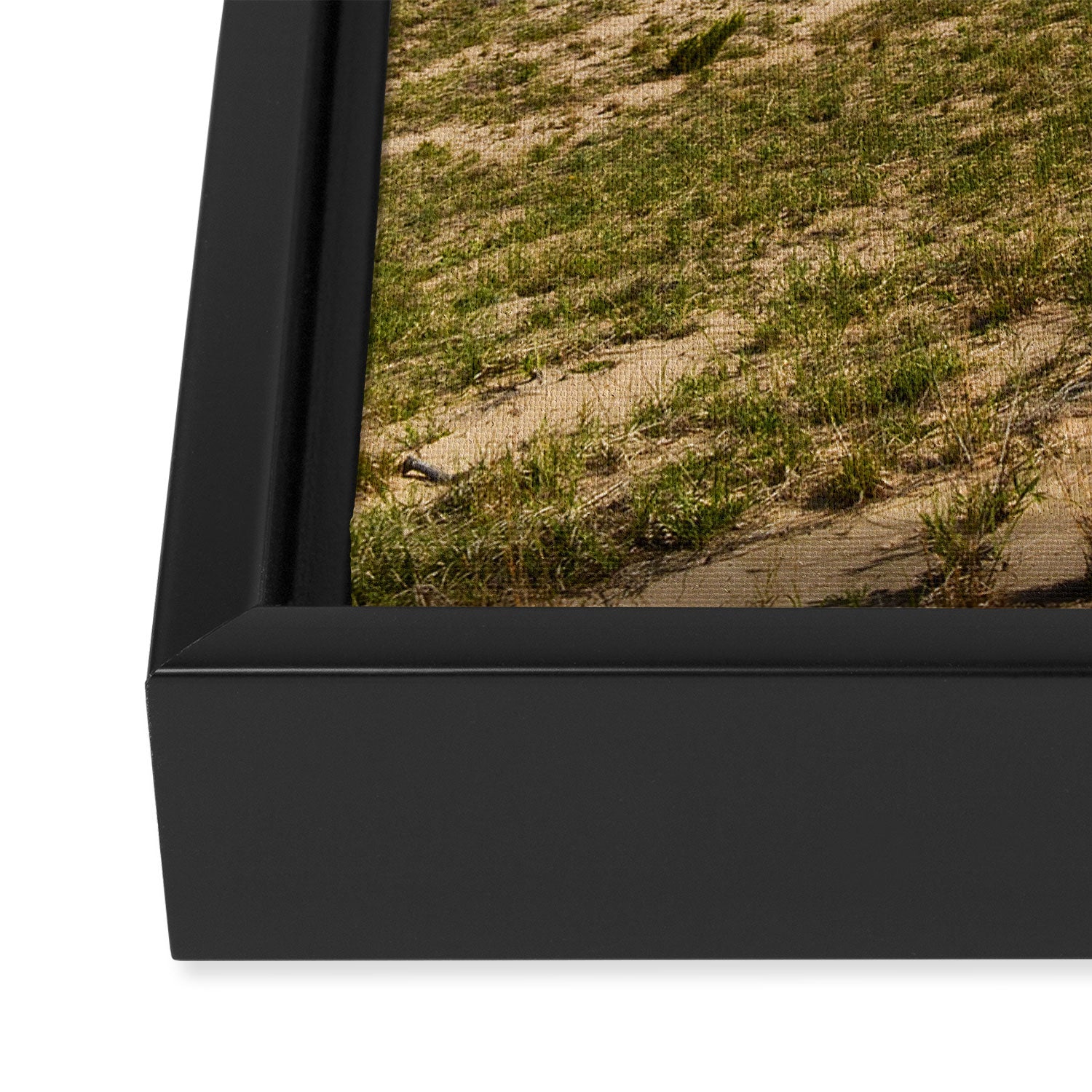 Michigan Dunes 1 - sand dune nature landscape photograph Framed Canvas Print Gallery Image 3