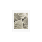 Modern Minimalist Leaf Line Botanical Photograph Art Print Gallery Image 1