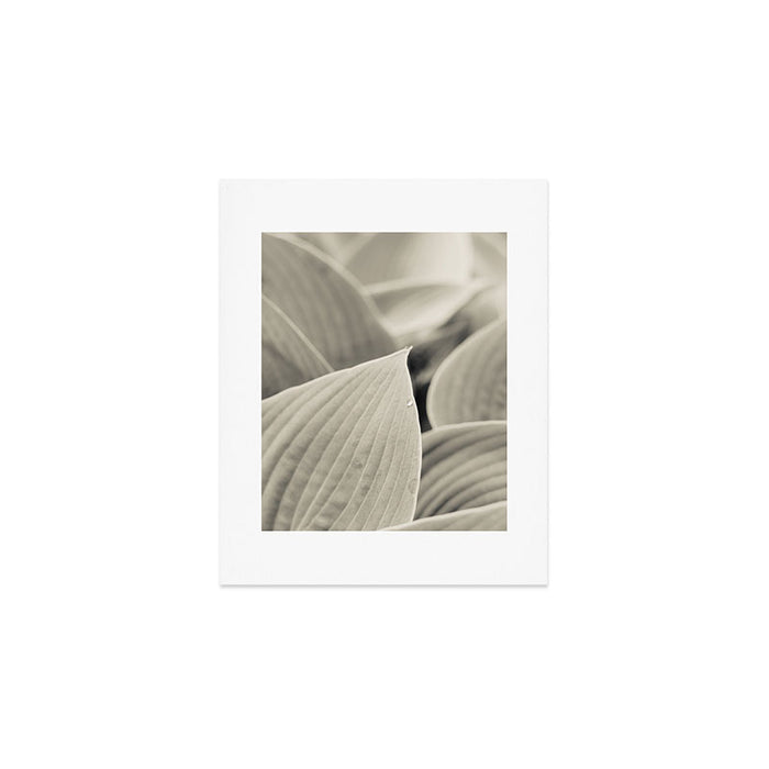 Modern Minimalist Leaf Line Botanical Photograph Art Print Gallery Image 1