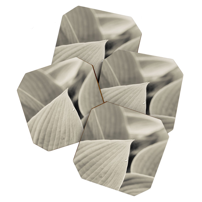 Modern Minimalist Leaf Line Botanical Photograph Coaster Gallery Image 1