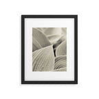 Modern Minimalist Leaf Line Botanical Photograph Framed Art Print Gallery Image 5