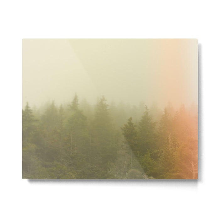 Monhegan Island Maine 1 Metal Print Gallery Image 1