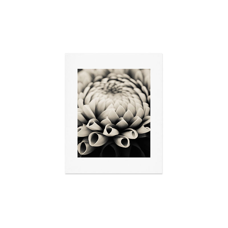 Moody Dahlia - Modern Dahlia Botanical Photo - flower print Art Print Gallery Image 1