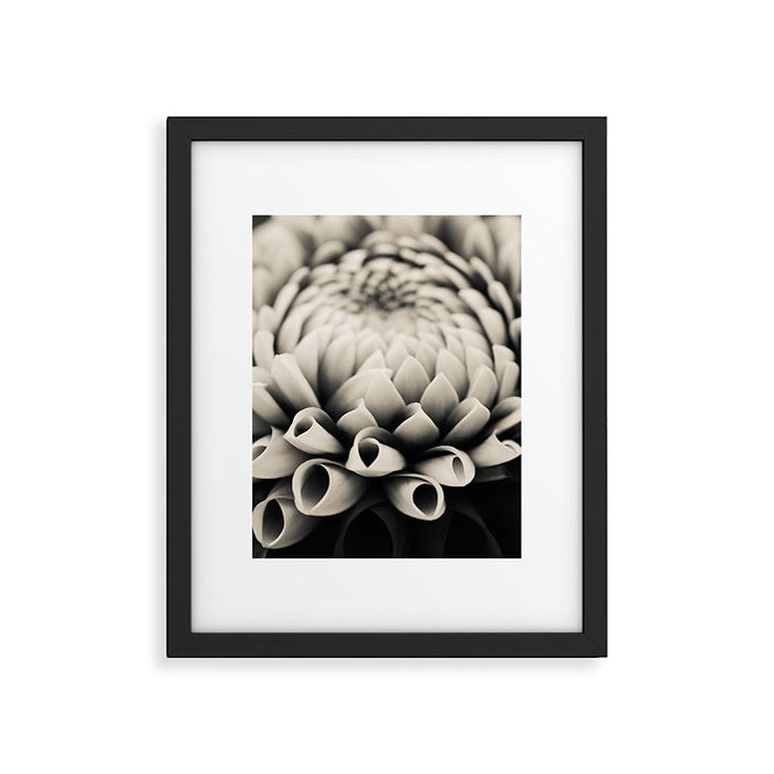 Moody Dahlia - Modern Dahlia Botanical Photo - flower print Framed Art Print Gallery Image 1