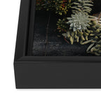 Moody Succulent x houseplant leaf photograph Framed Canvas Print Gallery Image 3