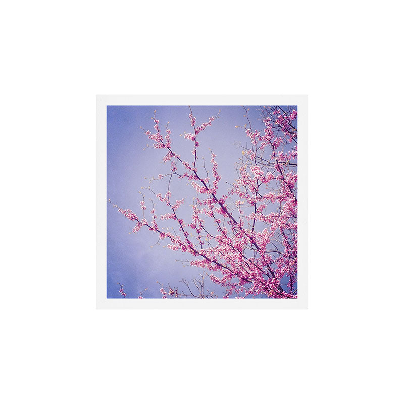Morning Song Art Print Gallery Image 1