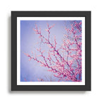 Morning Song Framed Art Print Gallery Image 1