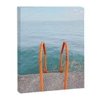 Morning Swim Canvas Print Gallery Image 6
