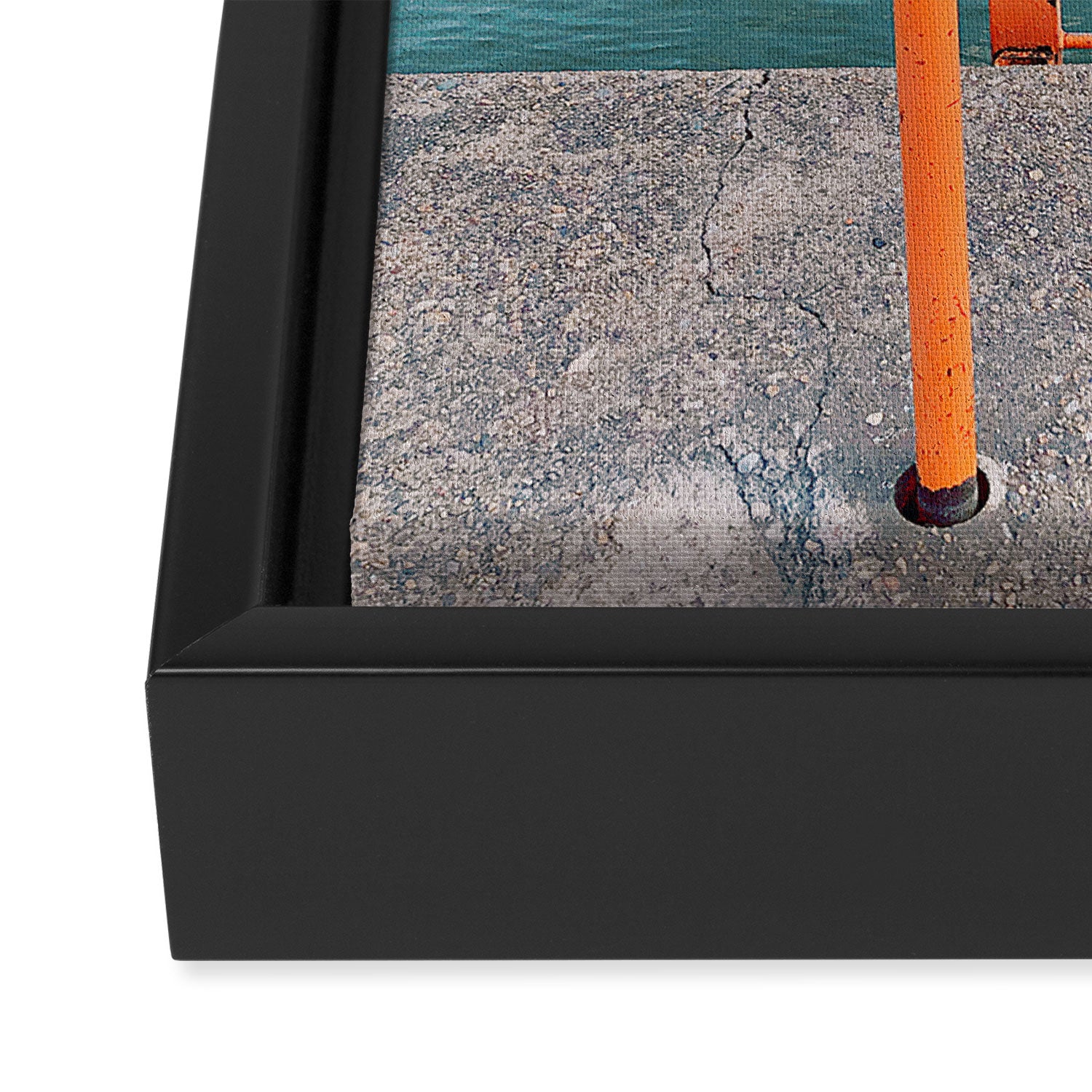 Morning Swim Framed Canvas Print Gallery Image 3