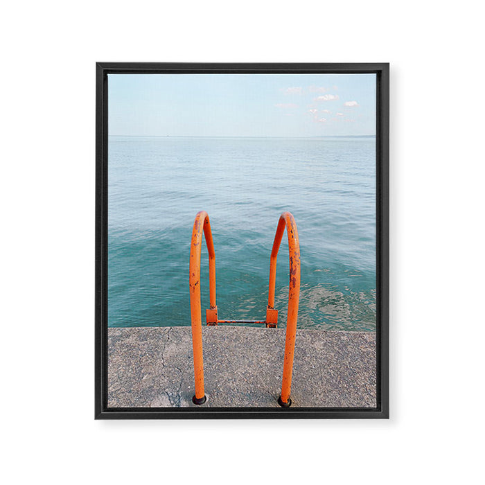 Morning Swim Framed Canvas Print Gallery Image 1