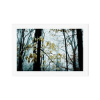 My Haunted Soul Art Print Gallery Image 1