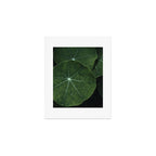 Nasturtium Leaf Botanical Photograph - moody minimal modern photography Art Print Gallery Image 1