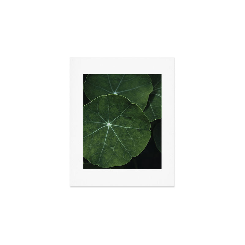 Nasturtium Leaf Botanical Photograph - moody minimal modern photography Art Print Gallery Image 1