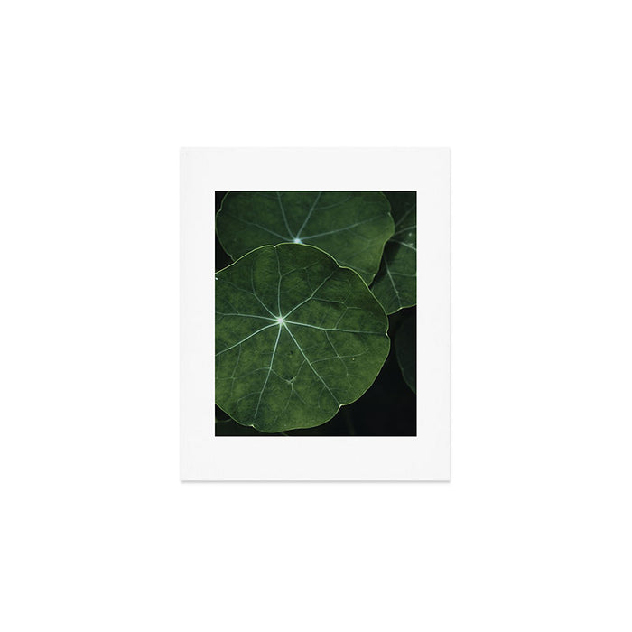Nasturtium Leaf Botanical Photograph - moody minimal modern photography Art Print Gallery Image 1