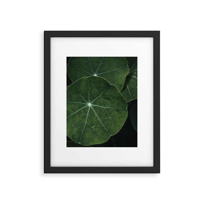 Nasturtium Leaf Botanical Photograph - moody minimal modern photography Framed Art Print Gallery Image 5