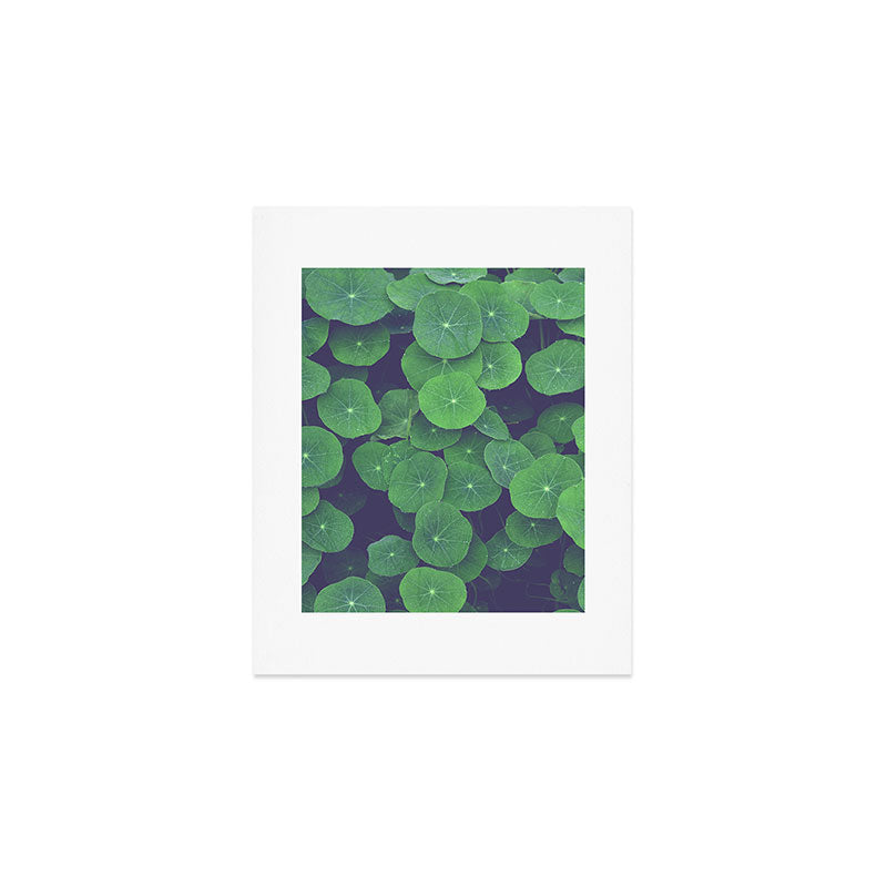 Nasturtium Leaves - botanical leaf plant photograph Art Print Gallery Image 1