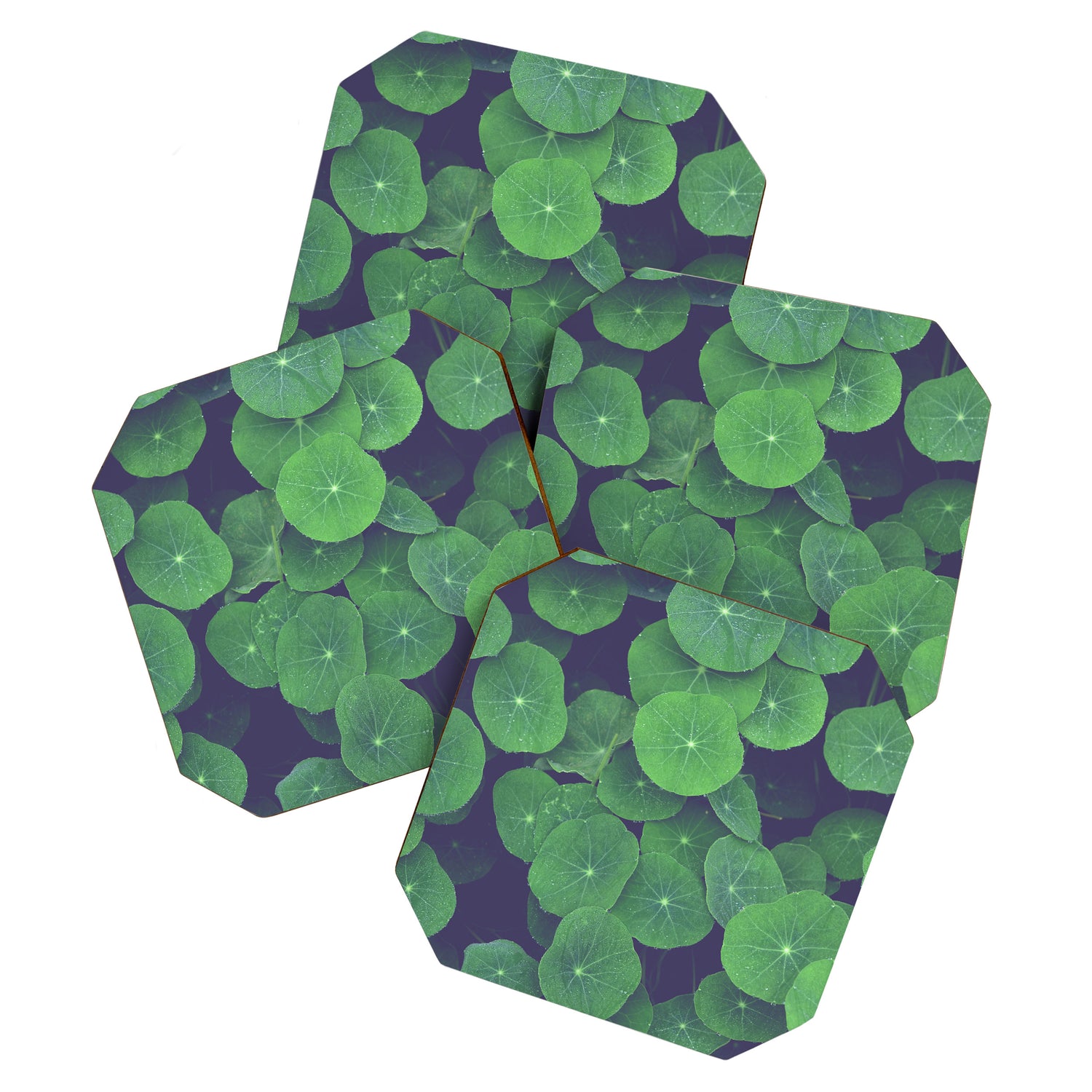 Nasturtium Leaves - botanical leaf plant photograph Coaster Gallery Image 1