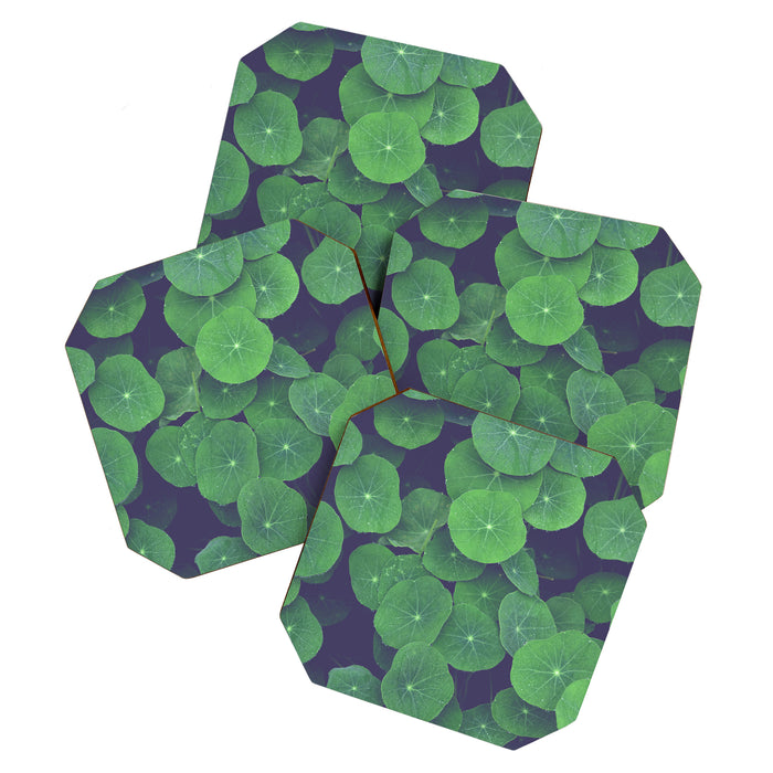 Nasturtium Leaves - botanical leaf plant photograph Coaster Gallery Image 1
