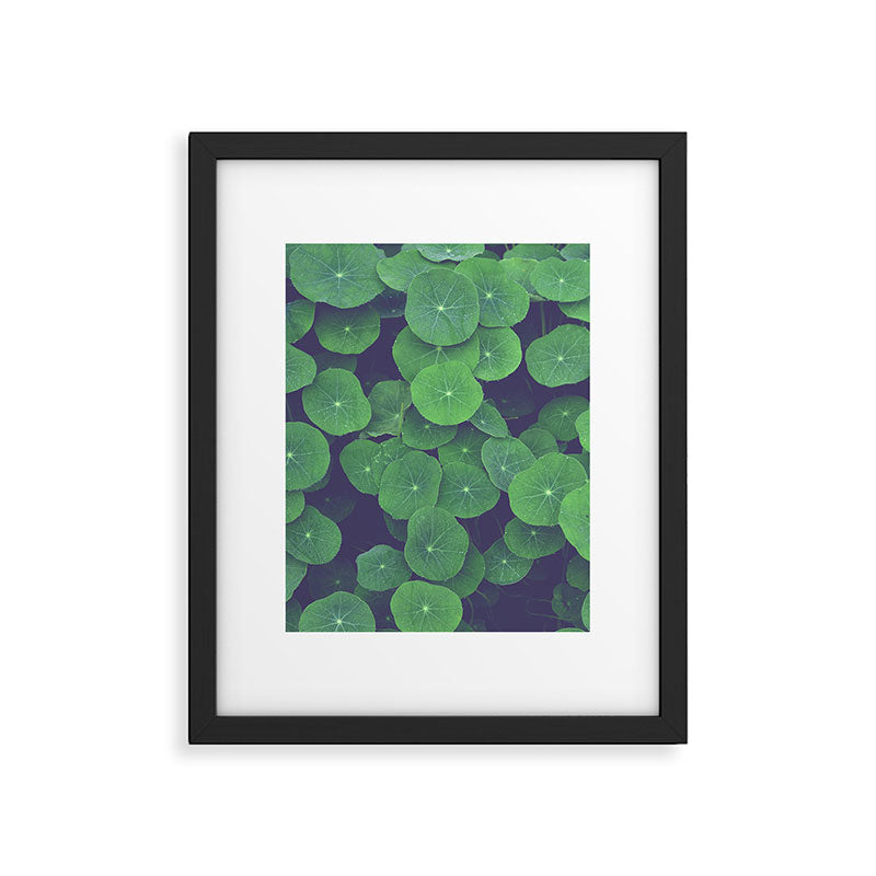 Nasturtium Leaves - botanical leaf plant photograph Framed Art Print Gallery Image 5