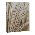 Neutral Botanical Abstract 2 x autumn plant photograph Canvas Print Gallery Image 6
