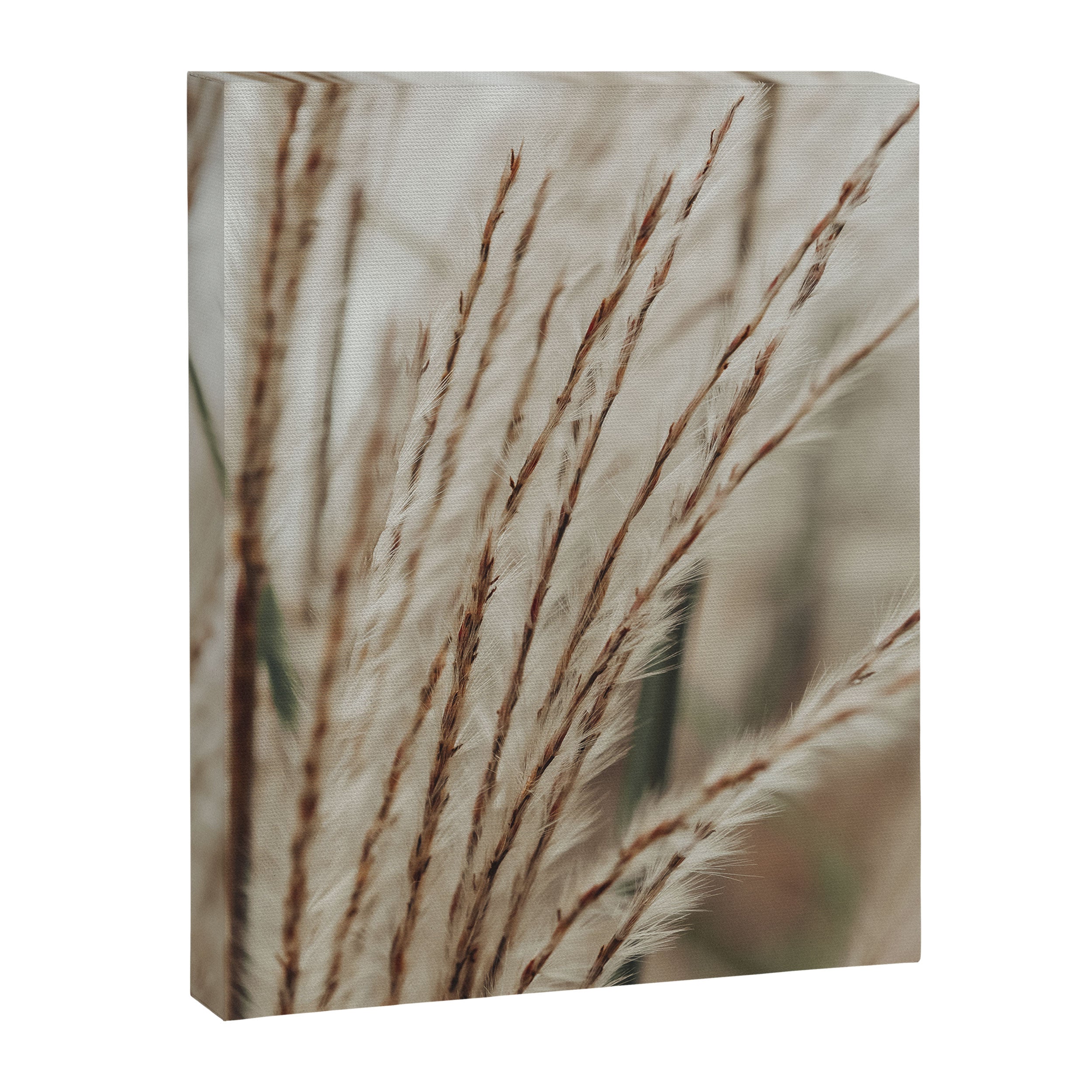 Neutral Botanical Abstract 2 x autumn plant photograph Canvas Print Gallery Image 6