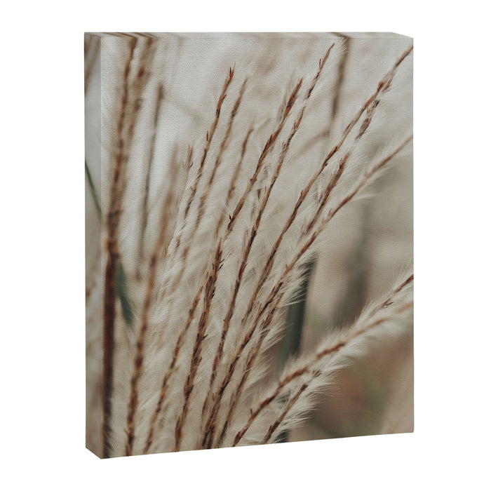 Neutral Botanical Abstract 2 x autumn plant photograph Canvas Print Gallery Image 1