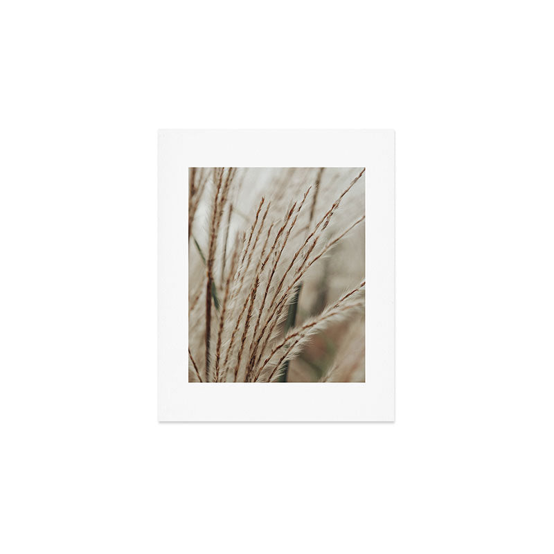 Neutral Botanical Abstract 2 x autumn plant photograph Art Print Gallery Image 1