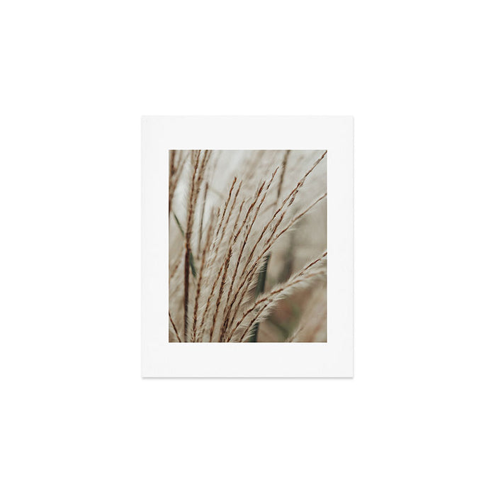 Neutral Botanical Abstract 2 x autumn plant photograph Art Print Gallery Image 1