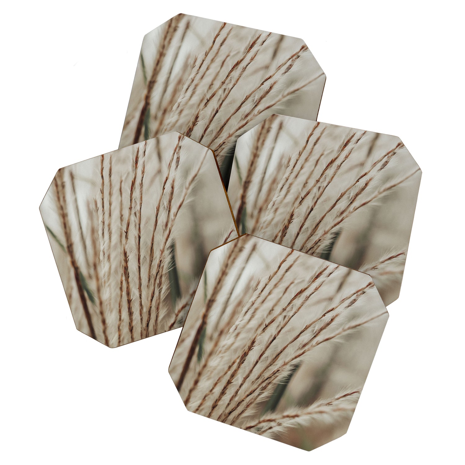 Neutral Botanical Abstract 2 x autumn plant photograph Coaster Gallery Image 1