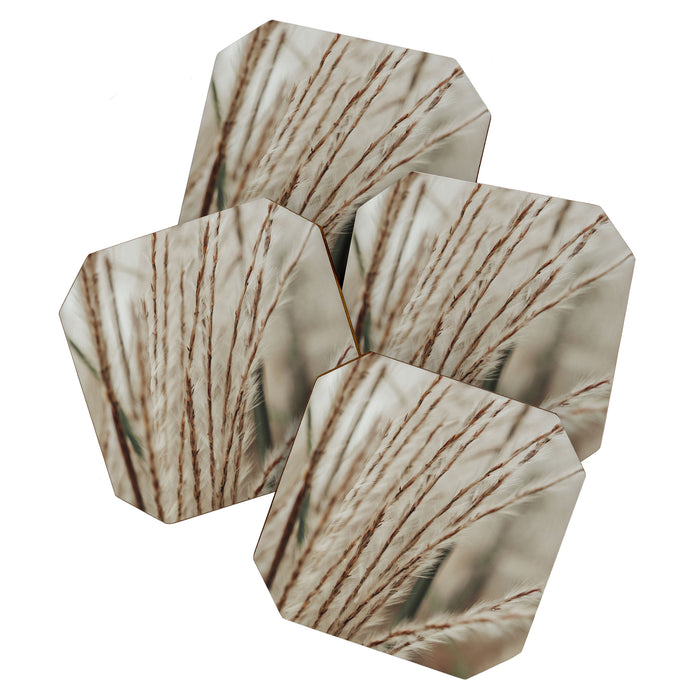 Neutral Botanical Abstract 2 x autumn plant photograph Coaster Gallery Image 1