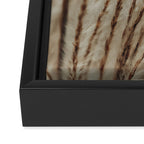 Neutral Botanical Abstract 2 x autumn plant photograph Framed Canvas Print Gallery Image 3