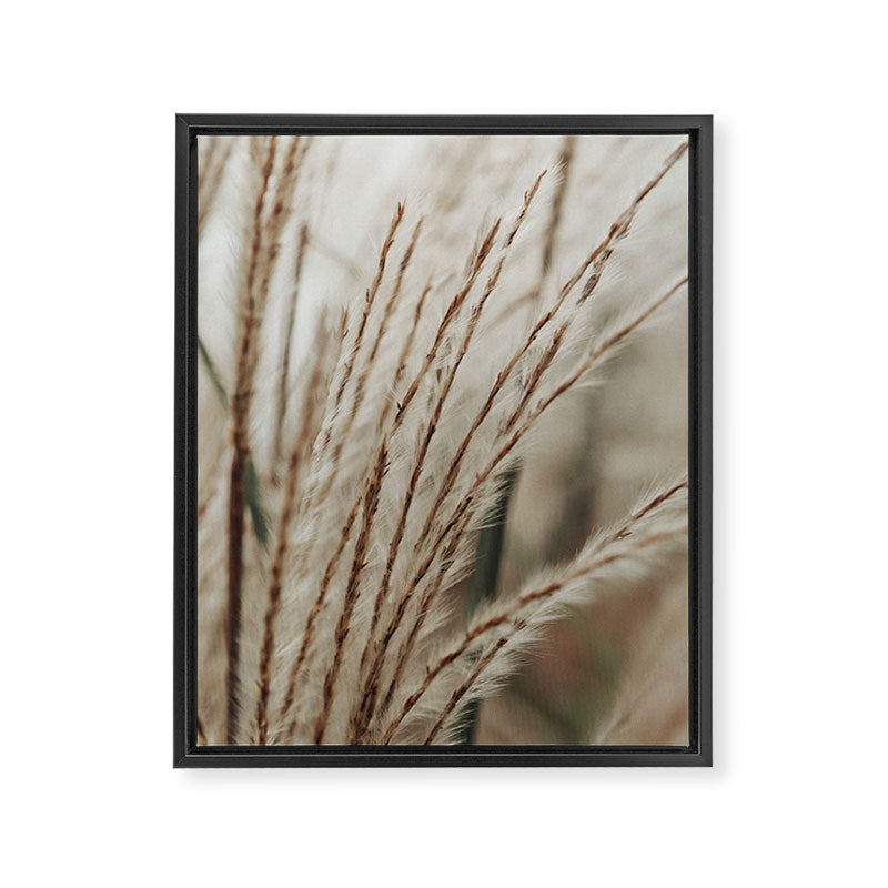 Neutral Botanical Abstract 2 x autumn plant photograph Framed Canvas Print Gallery Image 6