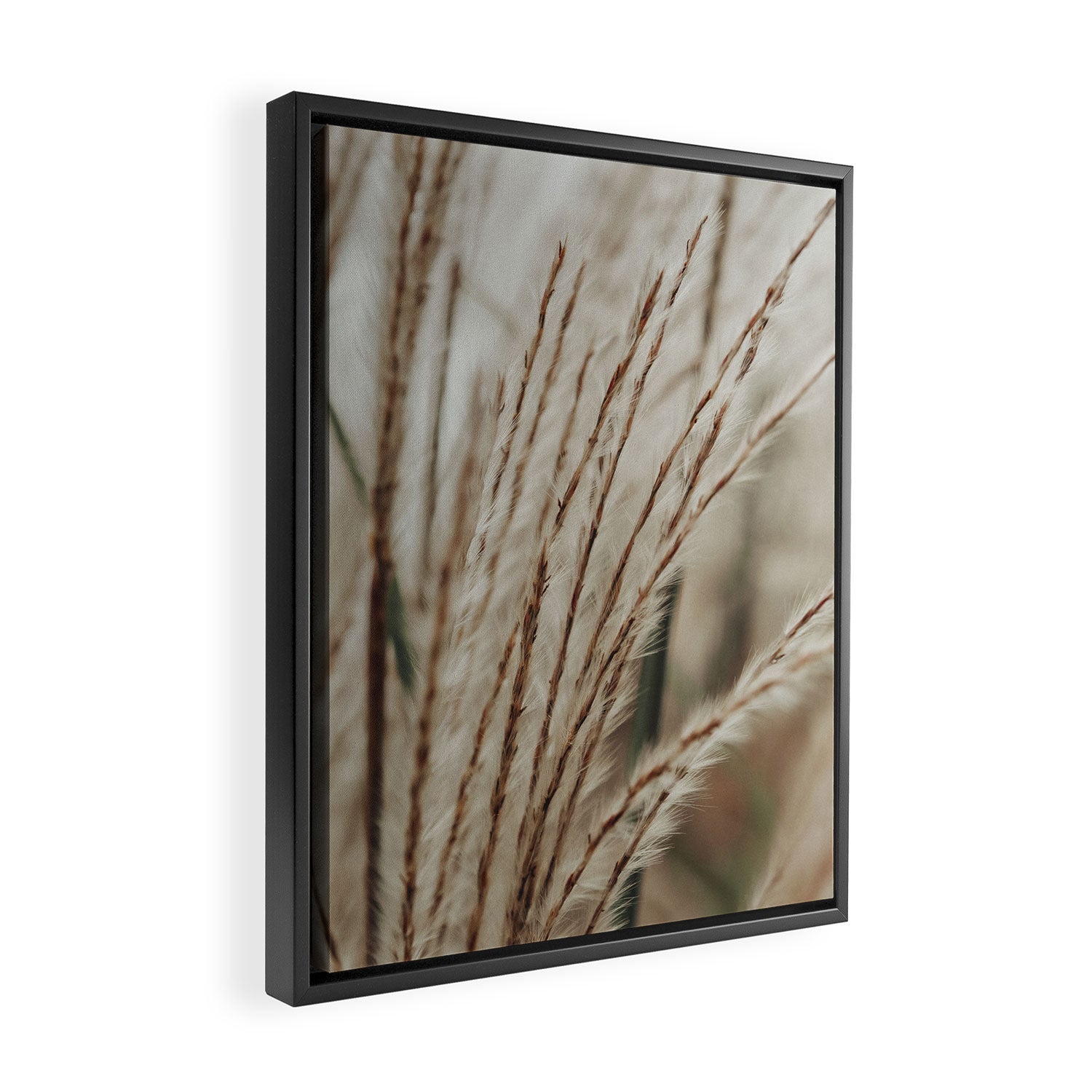 Neutral Botanical Abstract 2 x autumn plant photograph Framed Canvas Print Gallery Image 2