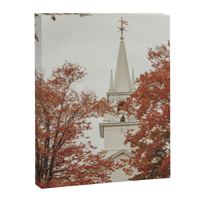 New England Autumn - travel photography Maine fall foliage trees Canvas Print Gallery Image 1