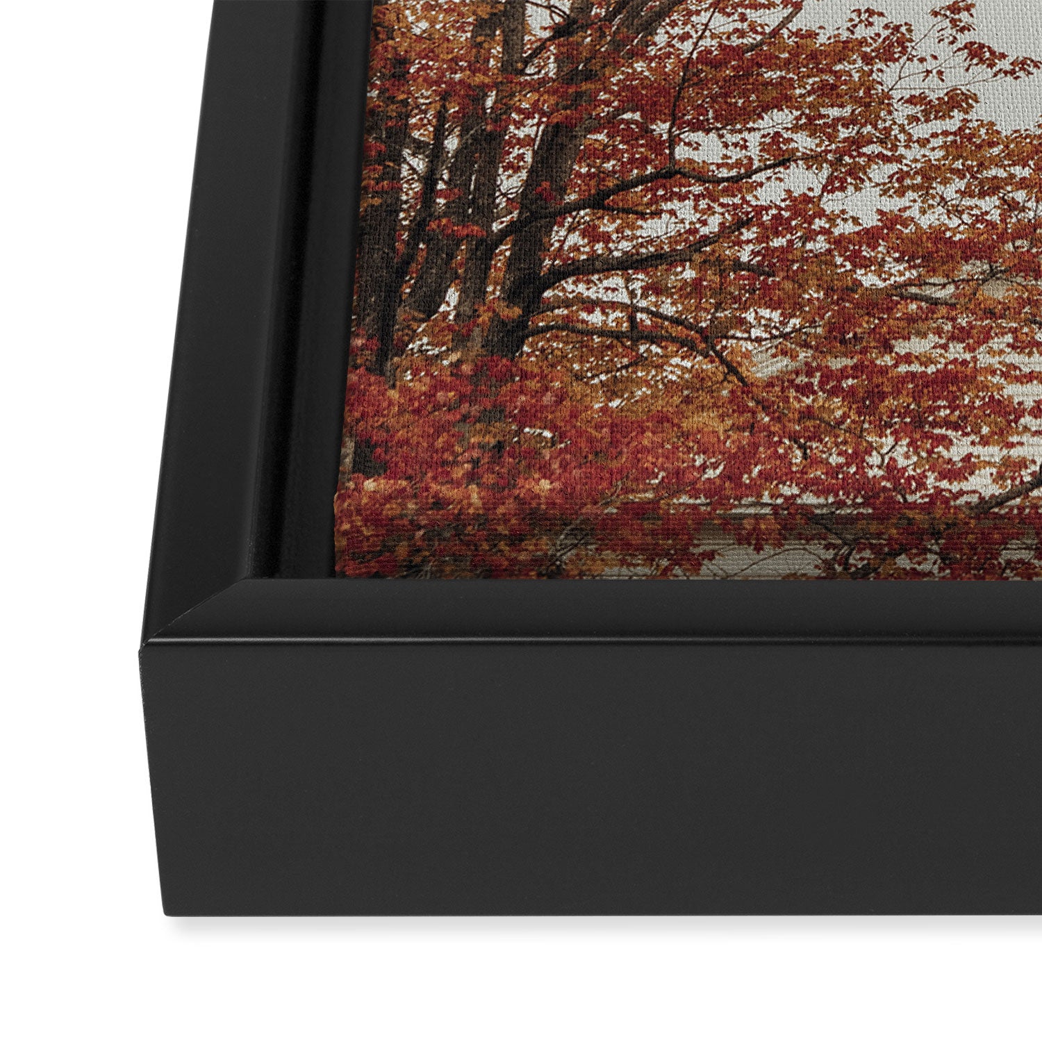 New England Autumn - travel photography Maine fall foliage trees Framed Canvas Print Gallery Image 3
