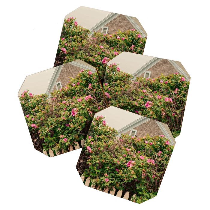 New England Cottage Coaster Gallery Image 1