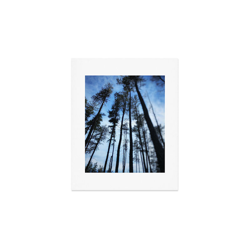 Northern Pines Art Print Gallery Image 1