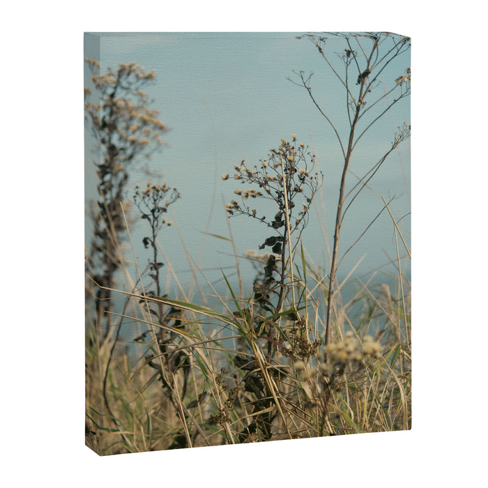 November Field - nature photo environment outdoors Canvas Print Gallery Image 1
